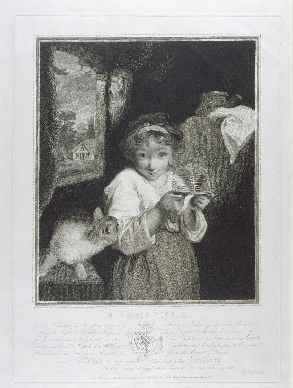 Muscipula, graveret af John Jones (ca. 1745-97) 1786 af Joshua Reynolds