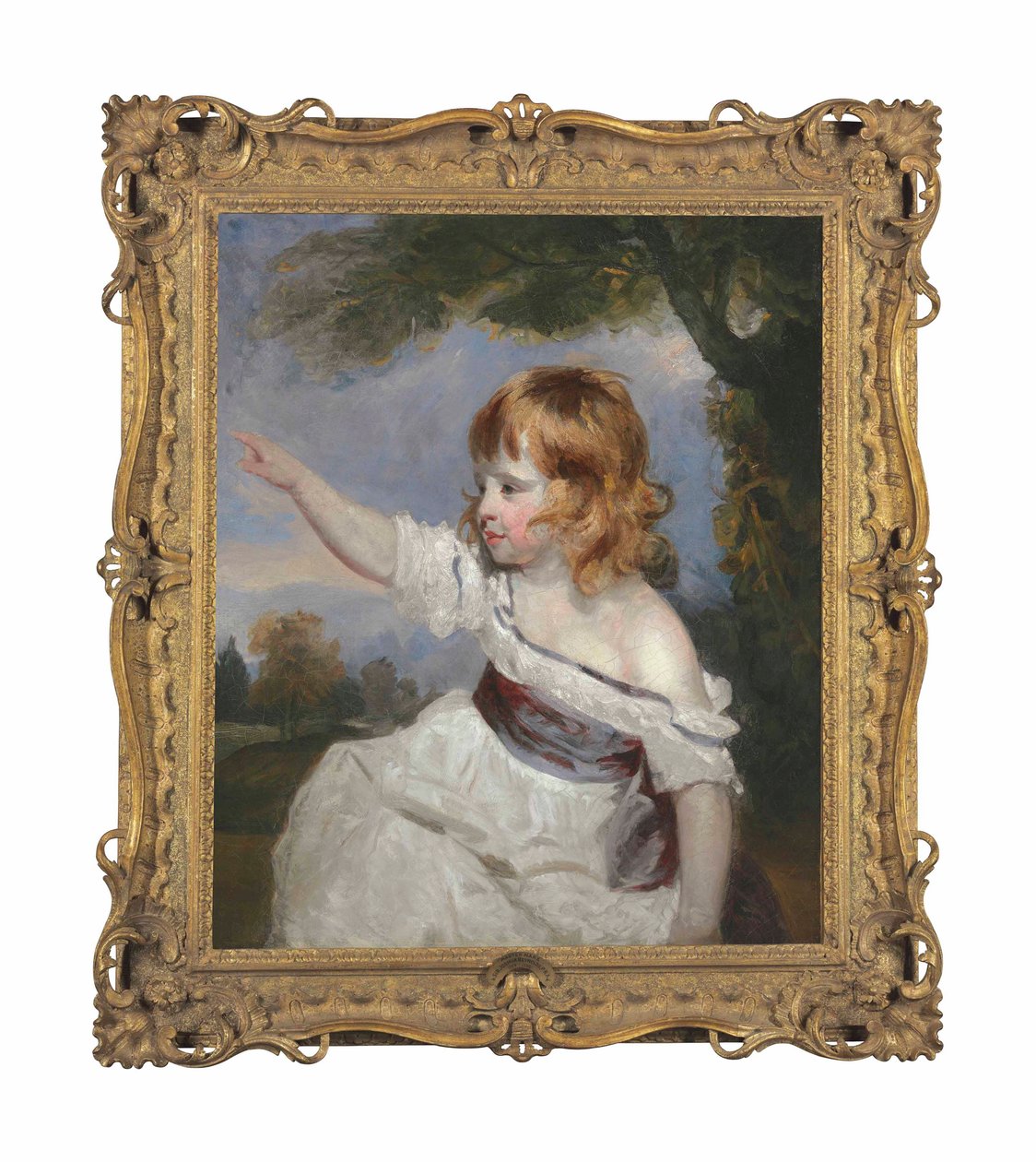 Portræt af masterhare eller barndom af Joshua Reynolds