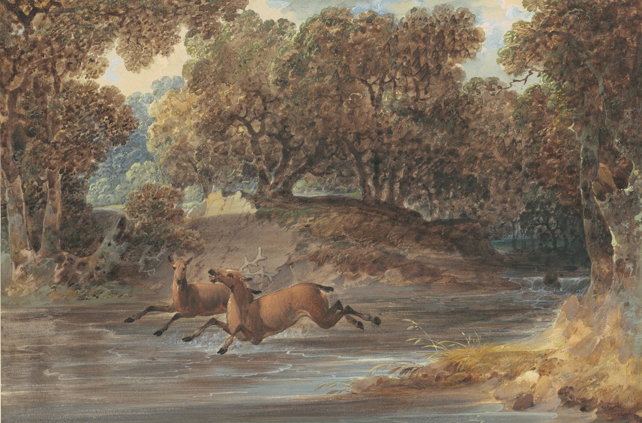 Landskab med hjorte, North Carolina, ca. 1820 (wc og gouache over grafit på papir) af Joshua H. Shaw