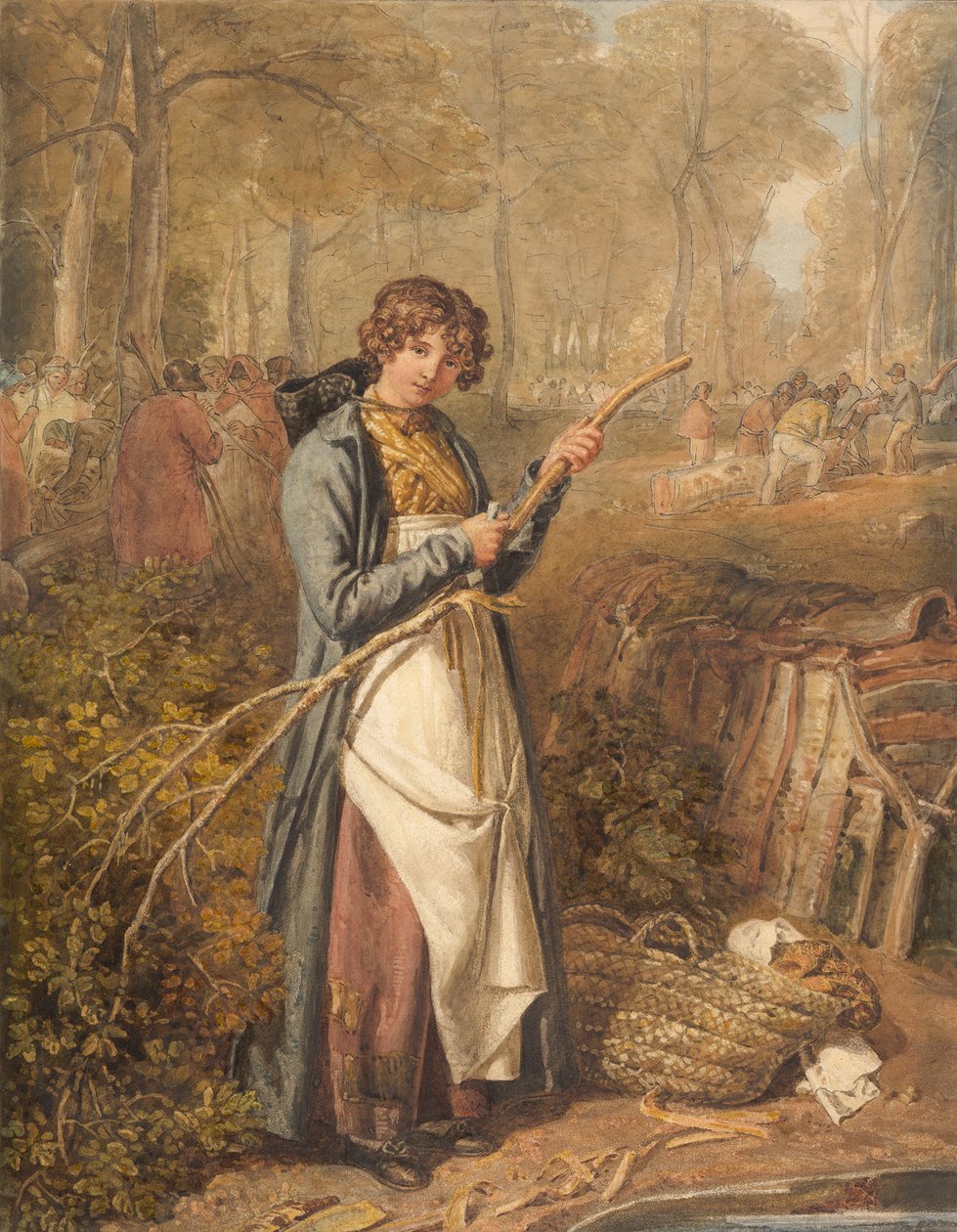Barking Timber i Wychwood Forest, Oxfordshire, 1818. af Joshua Cristall