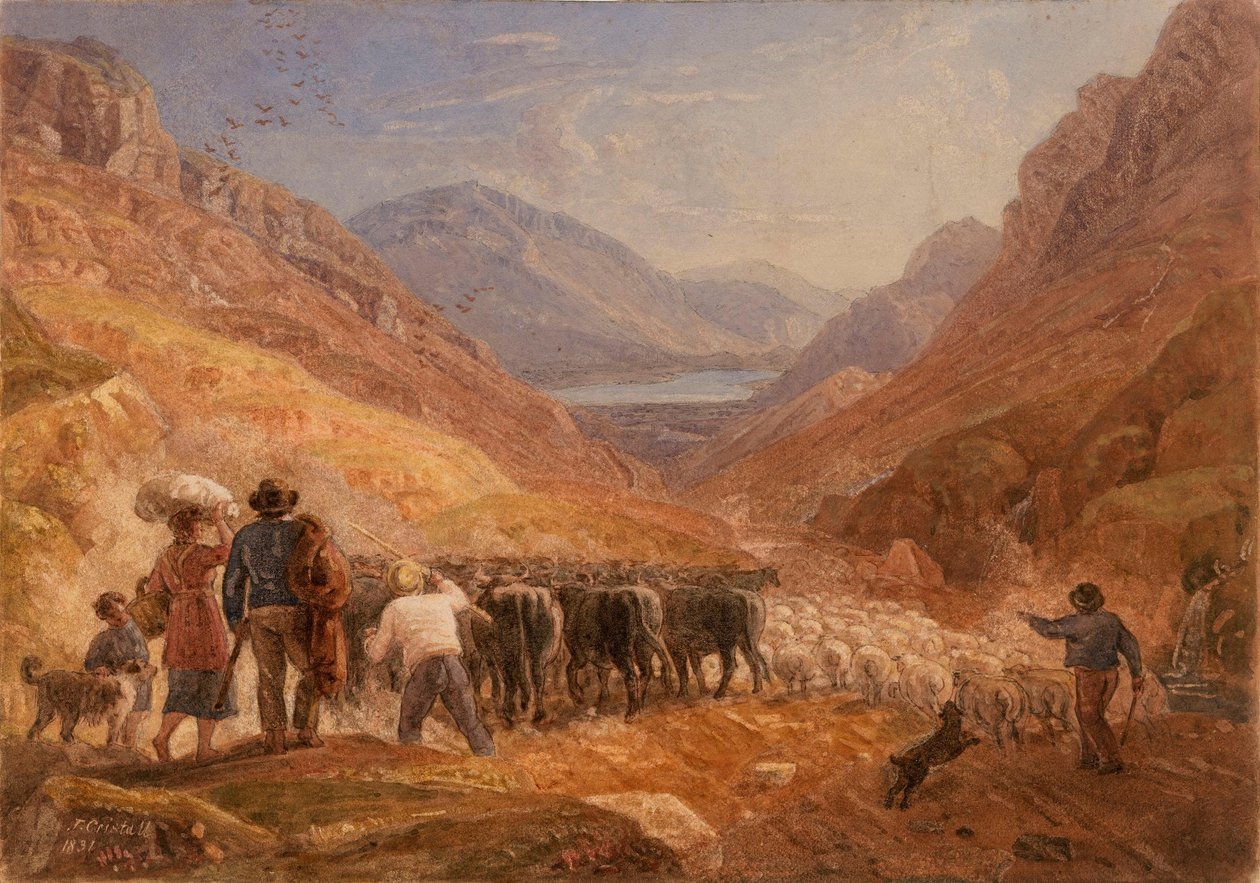 Hyrder driver kvæg og får gennem Tal-y-Llyn-passet, Wales af Joshua Cristall