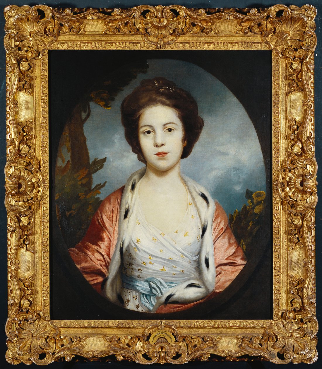 Portræt af Esther, Lady Wray, iført en hvid kjole, en guld- og pink hermelinforet kappe, et landskab udenfor af Joshua Reynolds