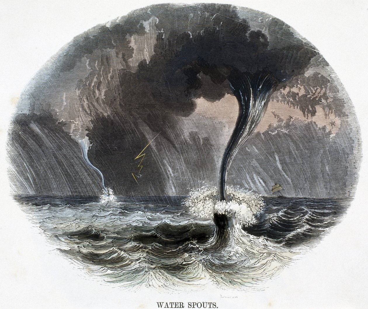 Vandtud, fra Phenomena of Nature, 1849 af Josiah Wood Whymper