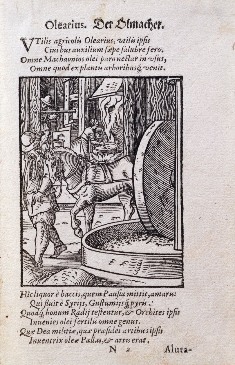 Oil Maker, illustration fra den latinske udgave af 