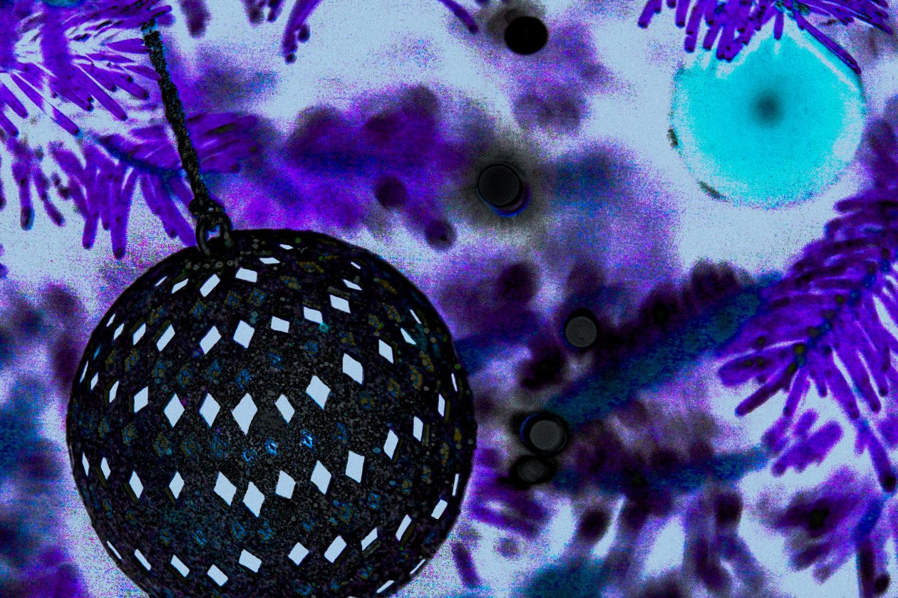 Ball Ornament, fra serien The Christmas Tree, 2015 (overmalet fotografi) af Joy Lions