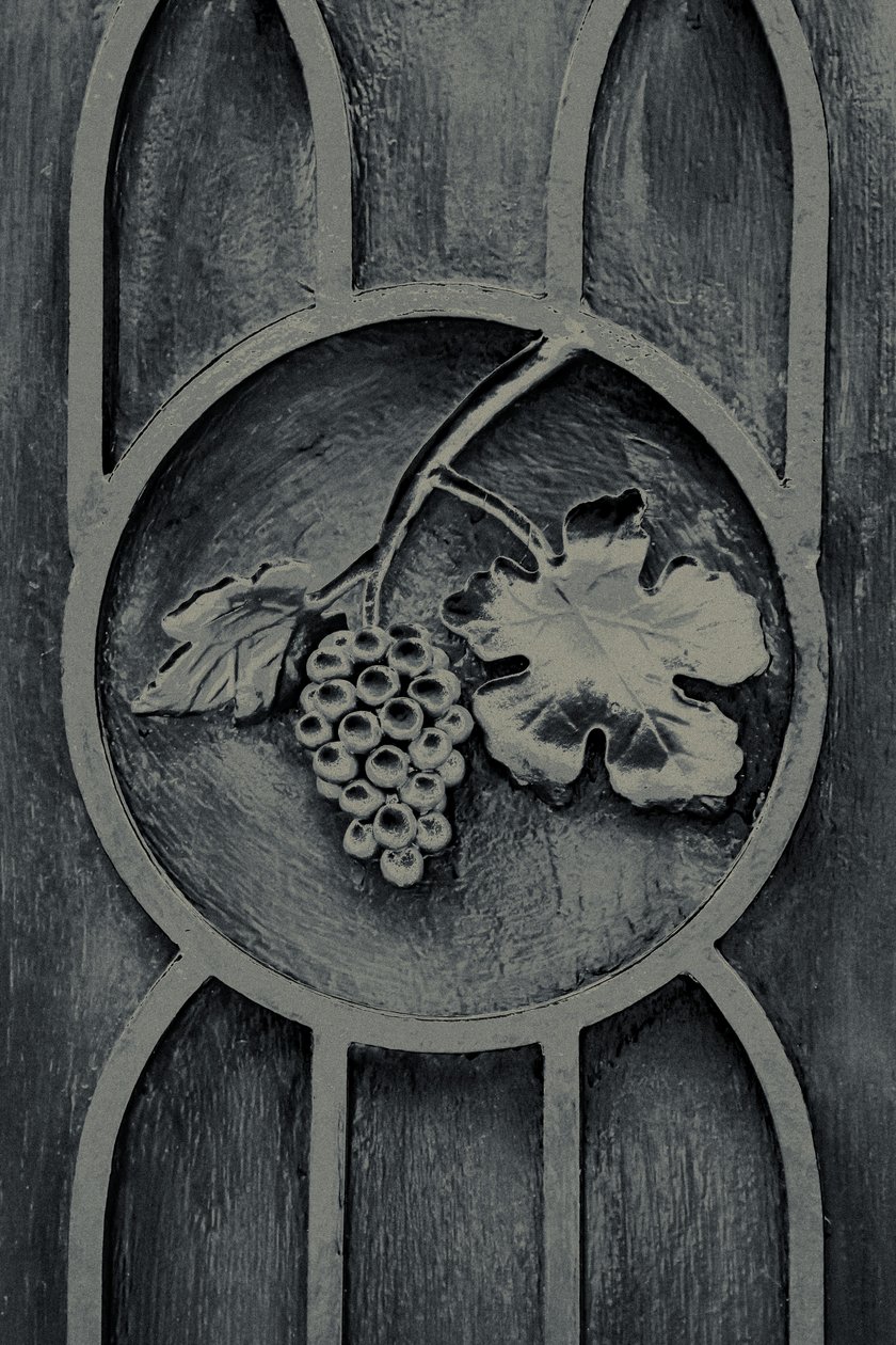 Fruits of the Garden, fra serien The Observant, 2016 (fotografi) af Joy Lions