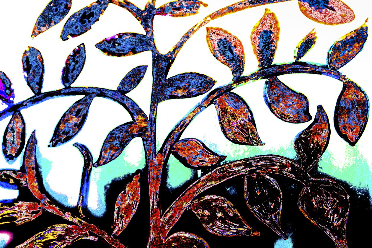 Spring, fra serien Italian Synagogue, 2015 (blandede medier) af Joy Lions
