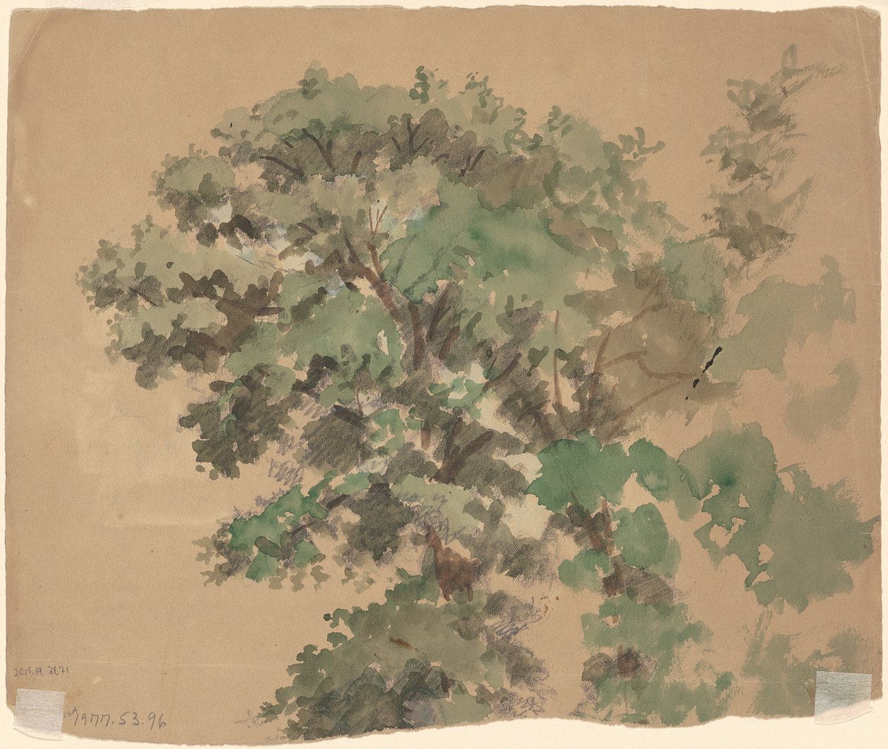 Træ [verso] af Jr. Enoch Wood Perry