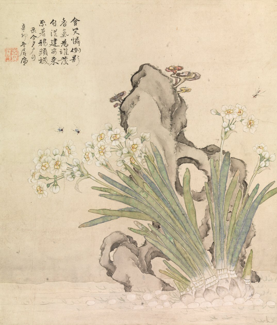 Narcissus, Rock, Bier og Linghzhi af Ju Lian