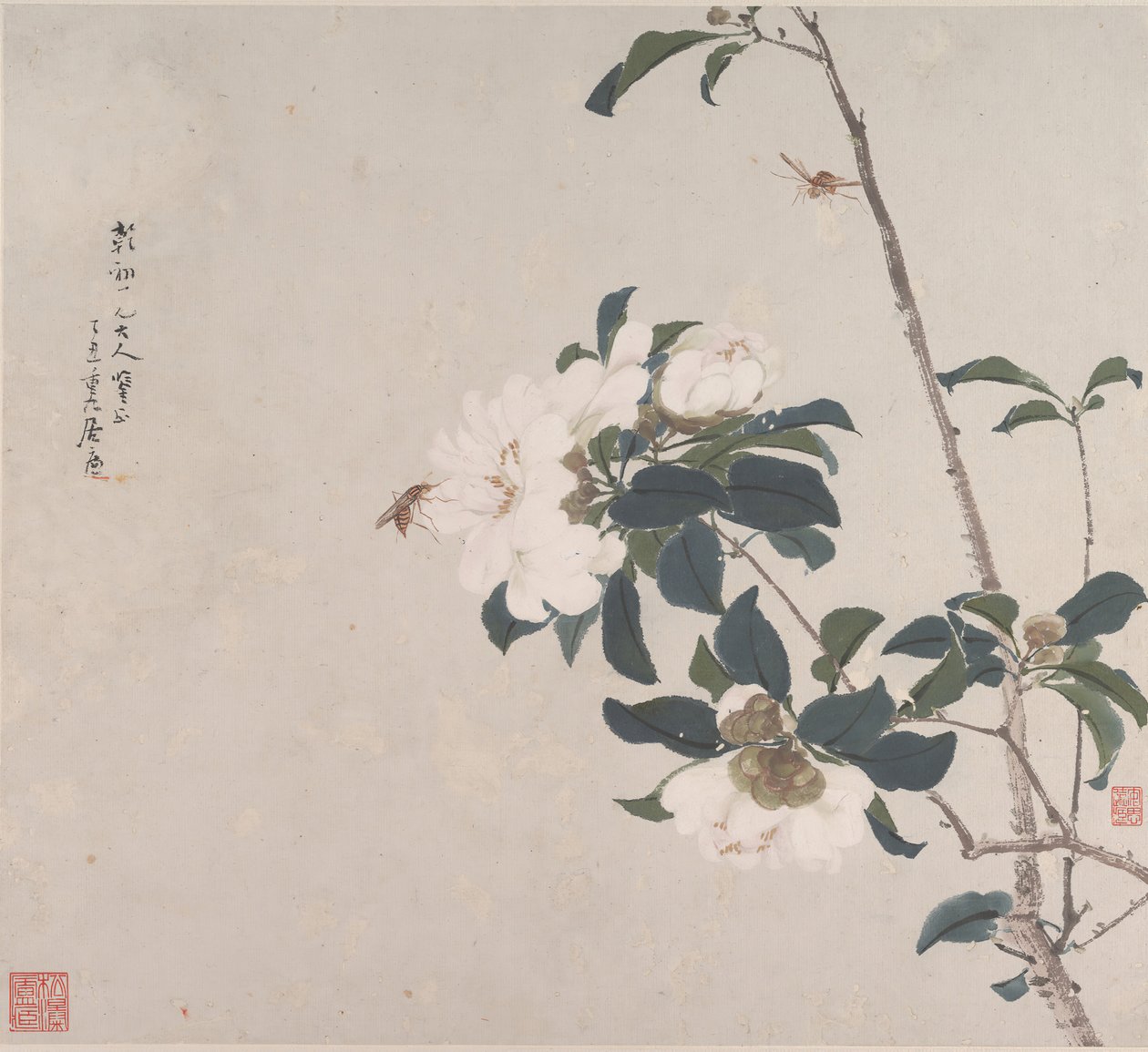 Insekter og blomster. af Ju Lian