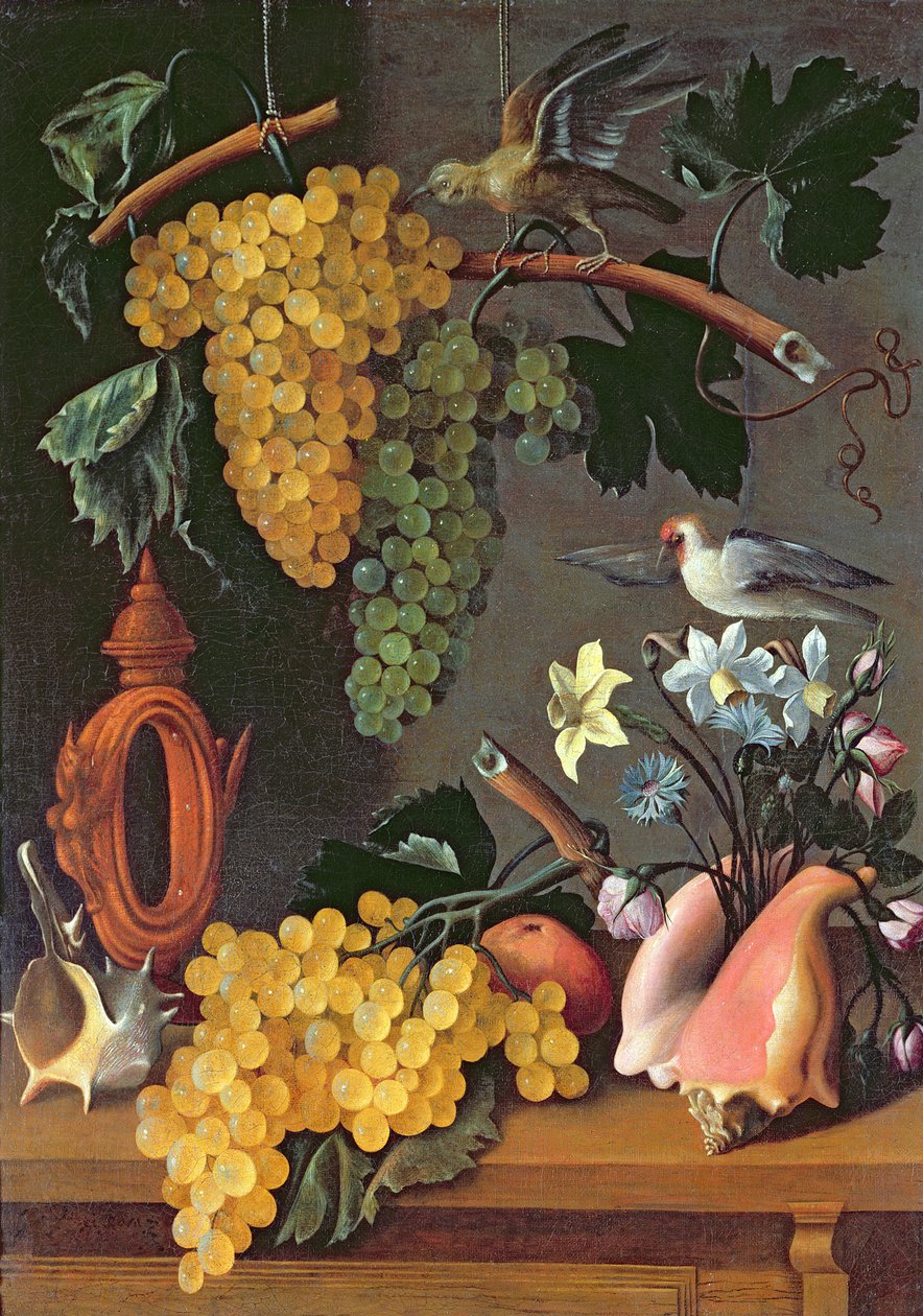 Stilleben med druer, fugle, blomster og skaller af Juan de Espinosa