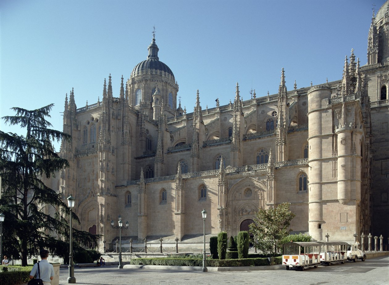 Tidlig morgenmåde af den nye katedral, den nordvestlige facade, påbegyndt i 1512 af Juan de & Rodrigo Gile de Hontanon