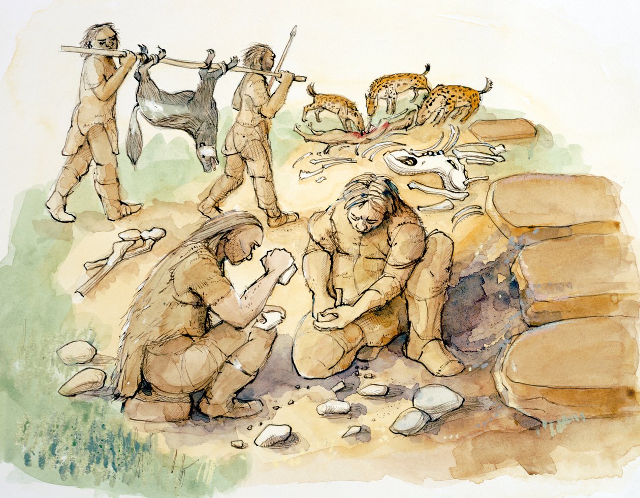 Hominider og hyæner, øvre palæolitikum, c1990-2010 af Judith Dobie