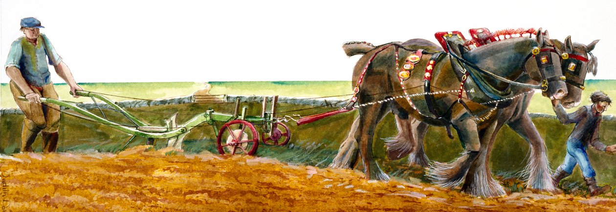 Pløjning, c1830-1900, c1990-2010 af Judith Dobie