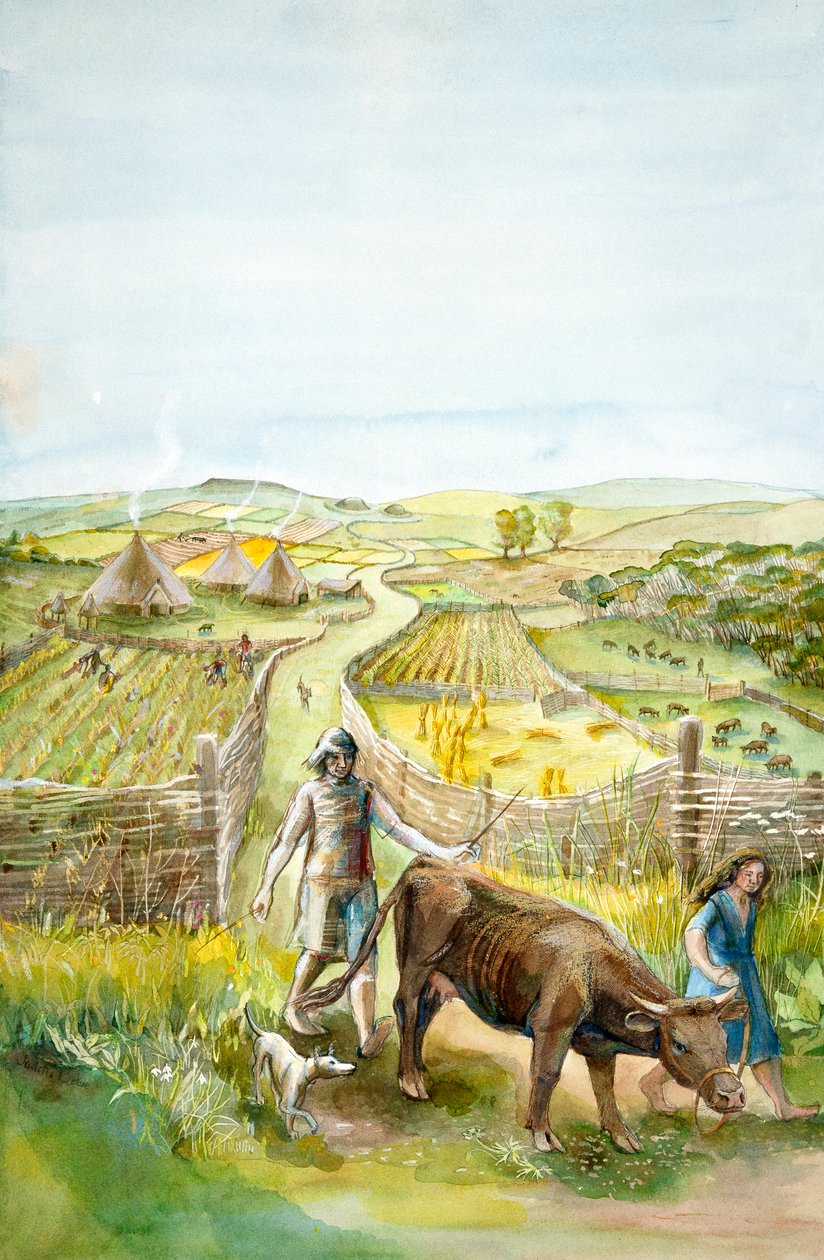 Landskab på landet, 2000 f.Kr., c1990-2010 af Judith Dobie