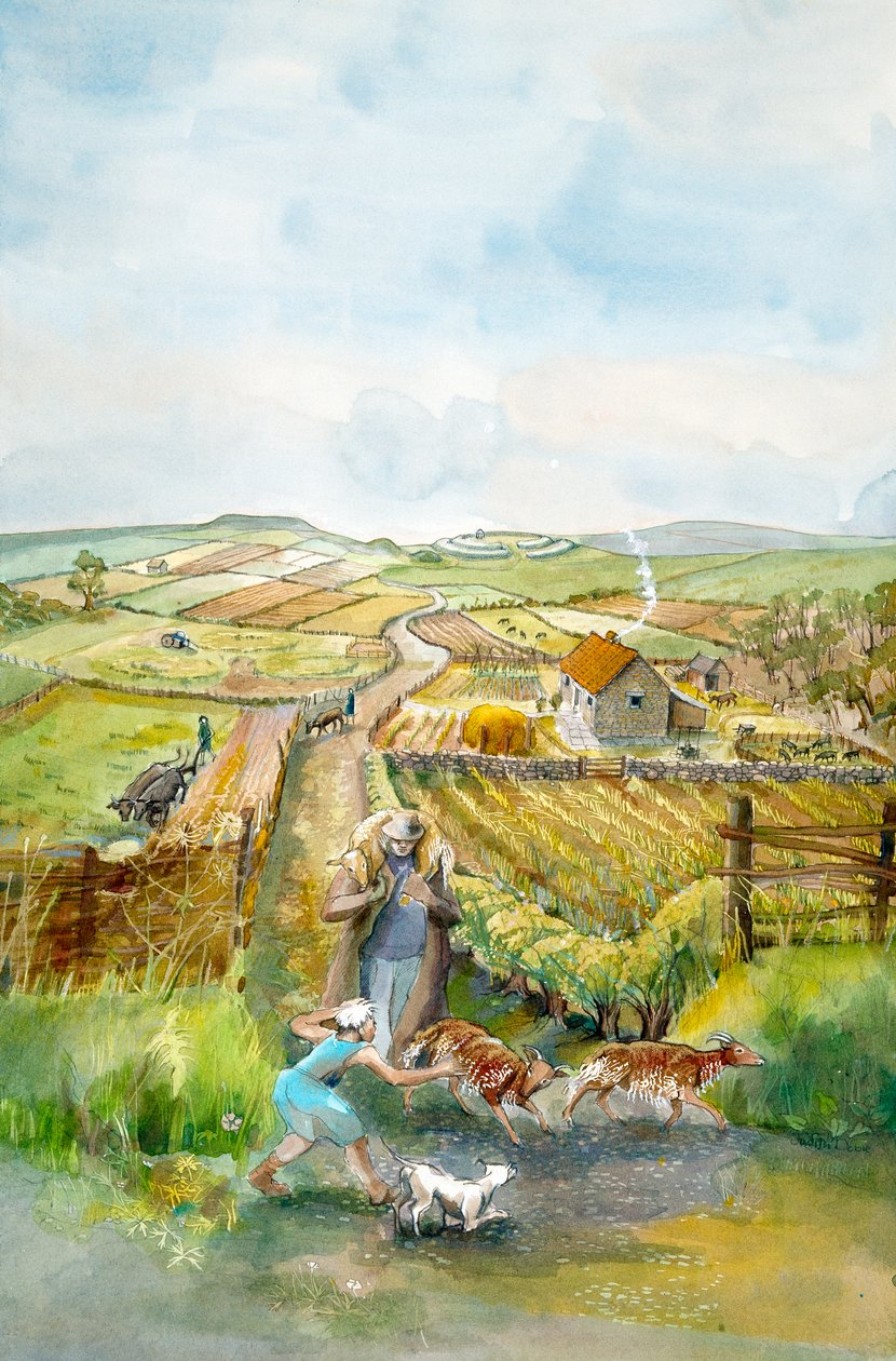 Landskab på landet, 3. århundrede, c1990-2010 af Judith Dobie