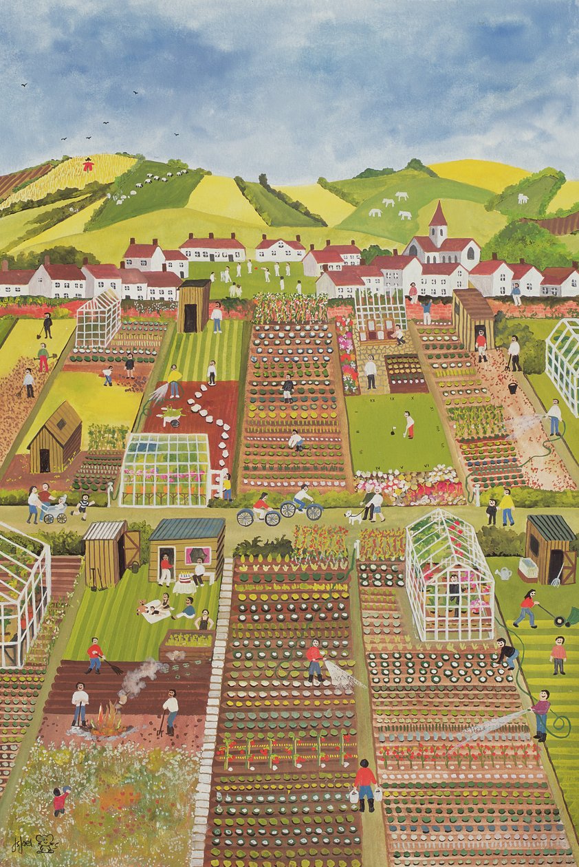 Tildelinger af Judy Joel