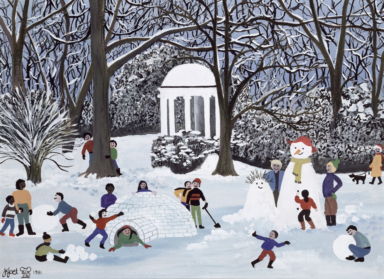 Snow Follies af Judy Joel