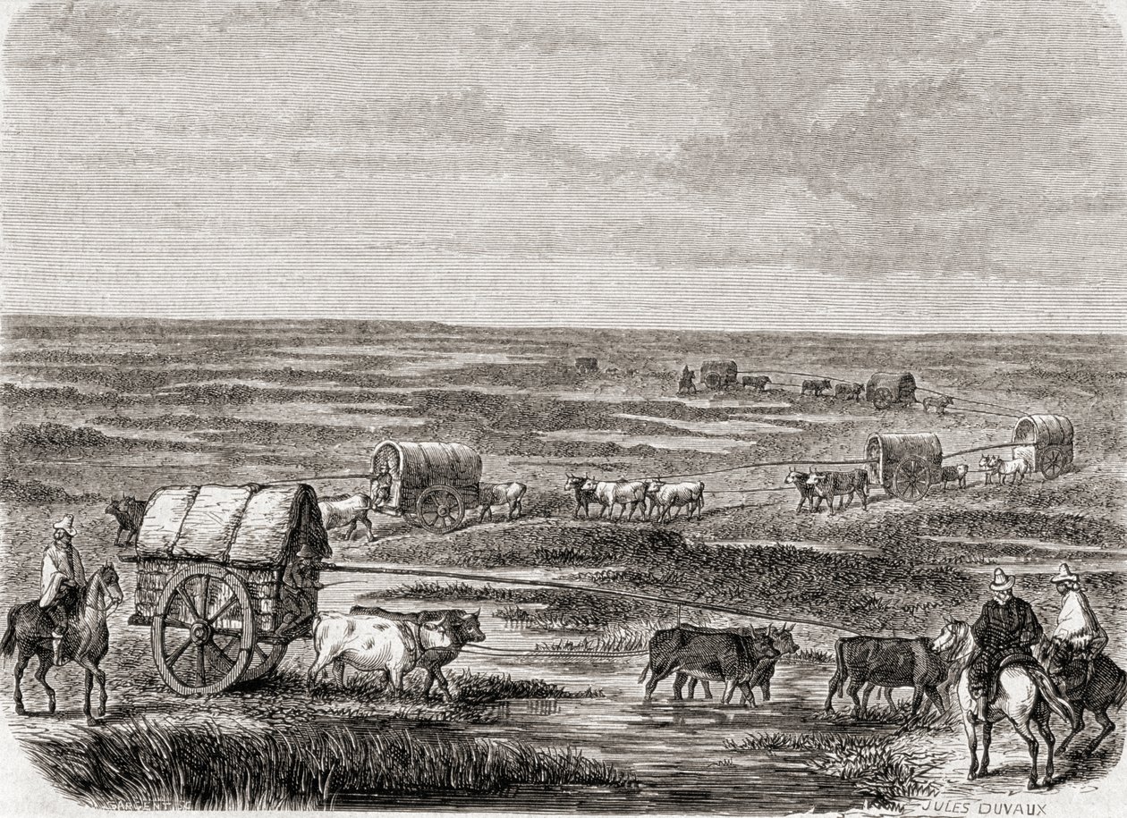 Vogntog på den argentinske Pampas i 1860