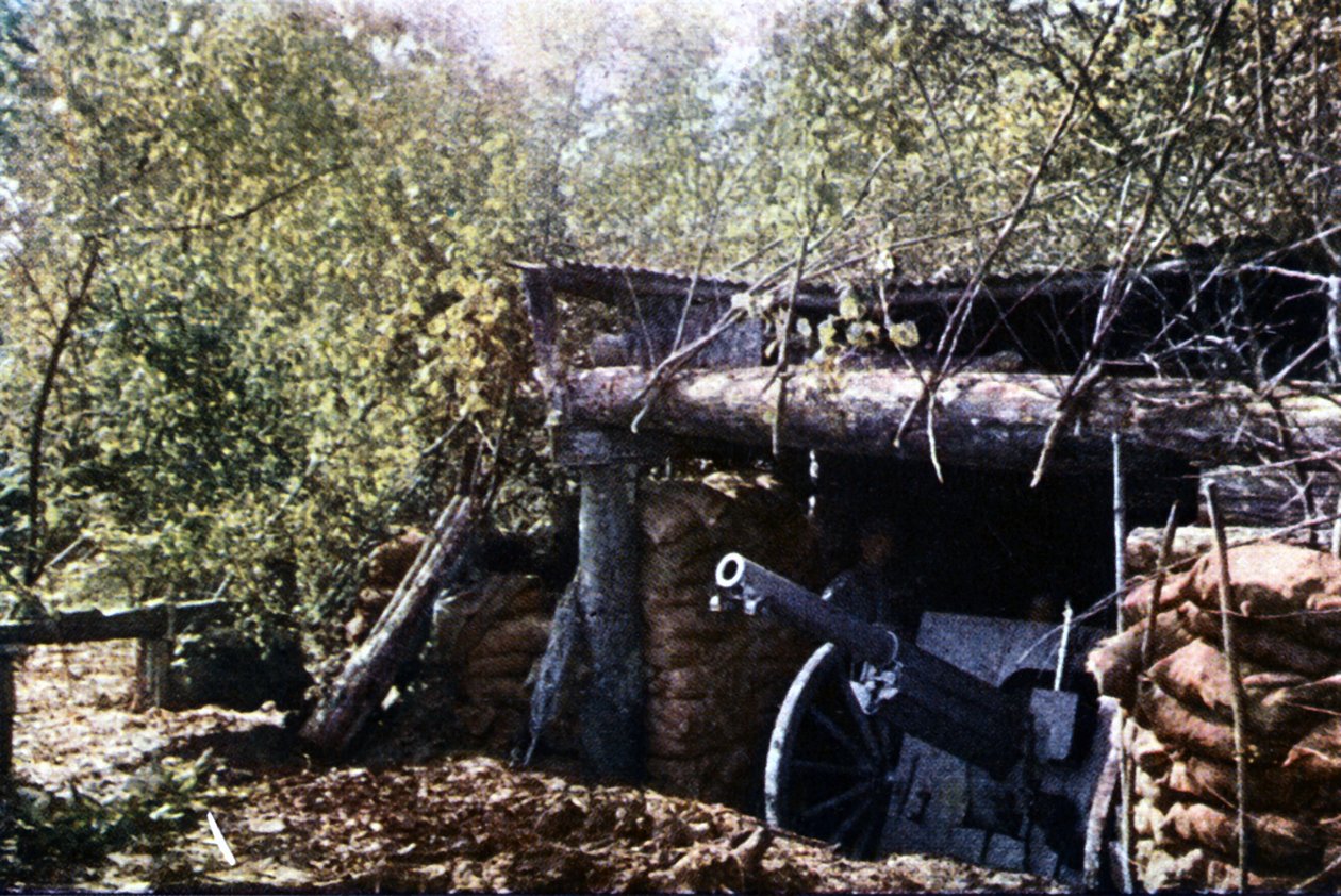 En camoufleret fransk 75 mm pistol under træerne under slaget ved Verdun, september 1916 (autokrom) af Jules Gervais Courtellemont