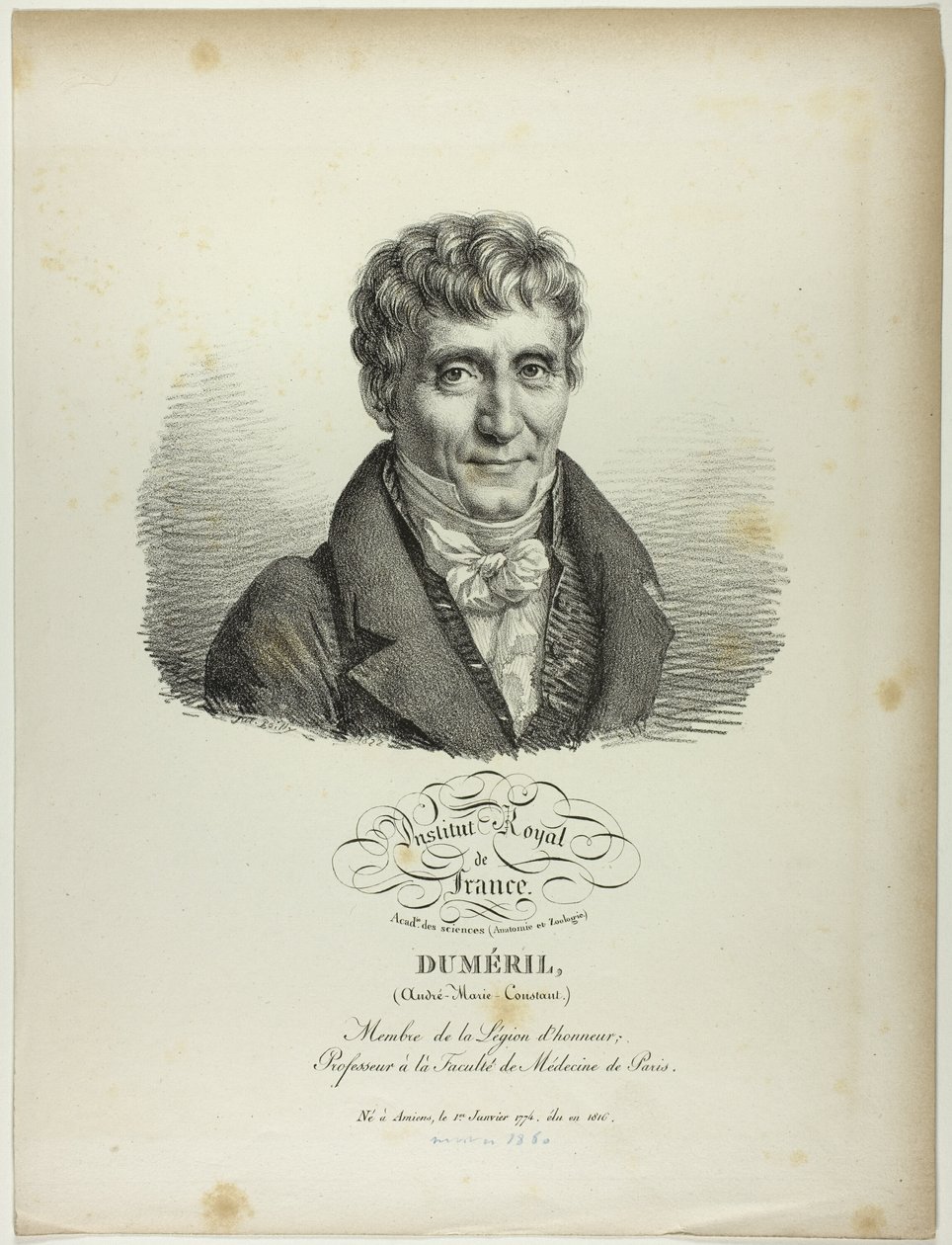 Portræt af André-Marie-Constant Duméril af Jules Boilly