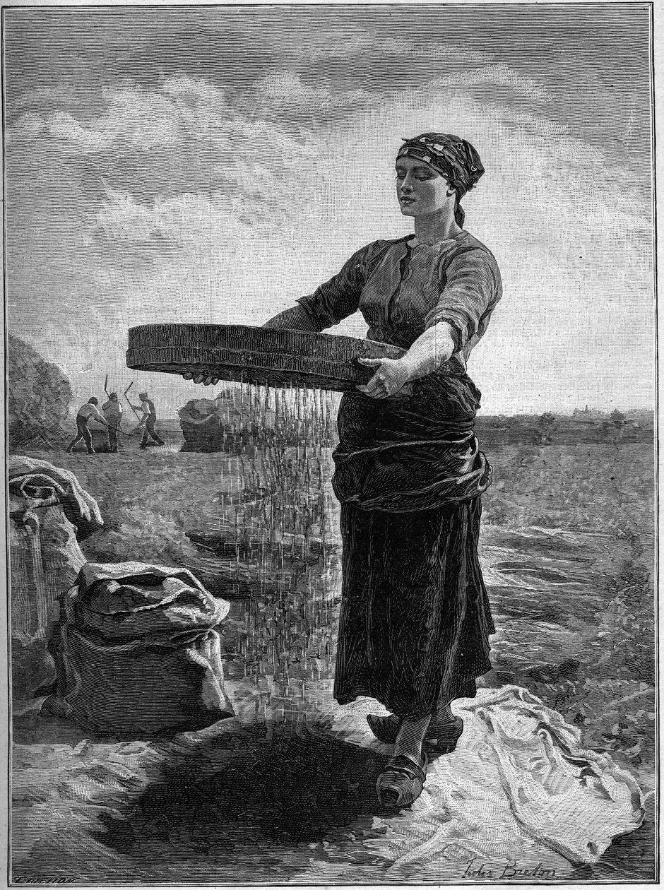 Rapsscreener: fra maleriet af Jules Breton. I "Familien" fra 1888. af Jules Breton