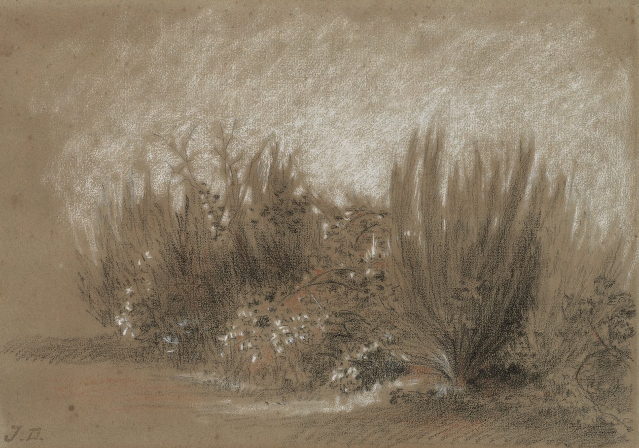 Genets et Ronces (Bom and Brambles) af Jules Dupré
