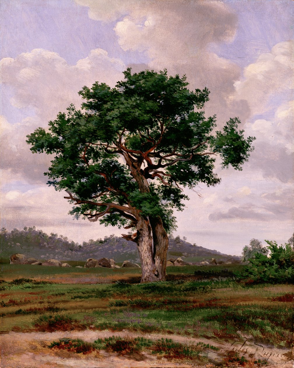 The Rager (hjertet) af Jules Dupré