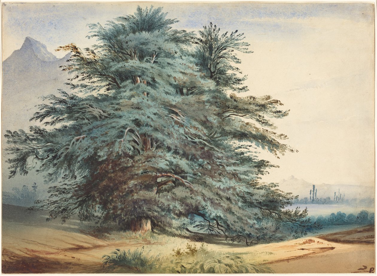To gamle træer foran en bjergtop af Jules Dupré