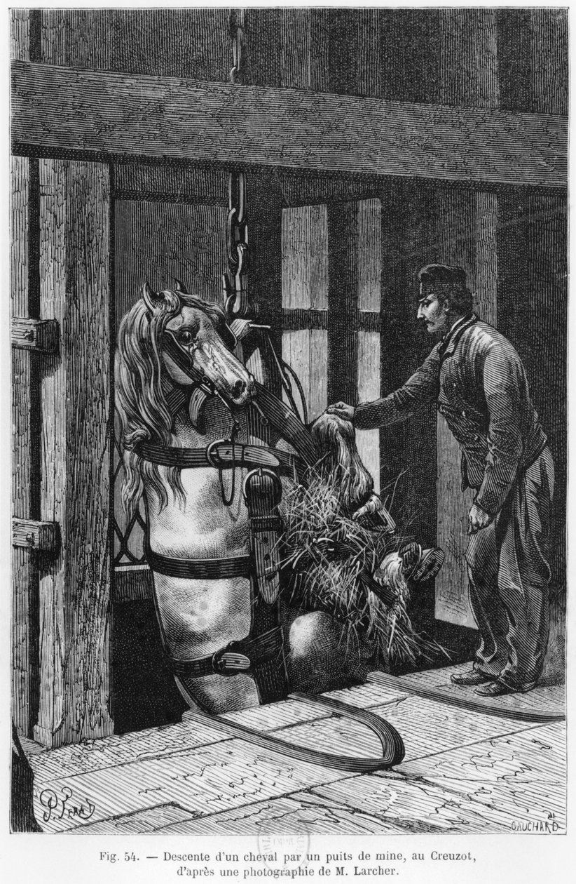 Hest bliver trukket ned af kulgraven ved Le Creusot, illustration fra 