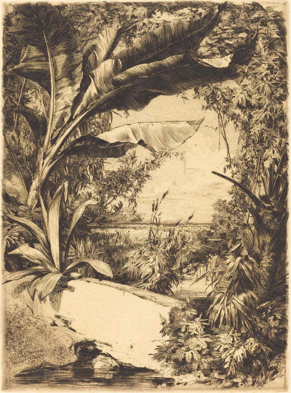 drivhusplanter af Jules Ferdinand Jacquemart