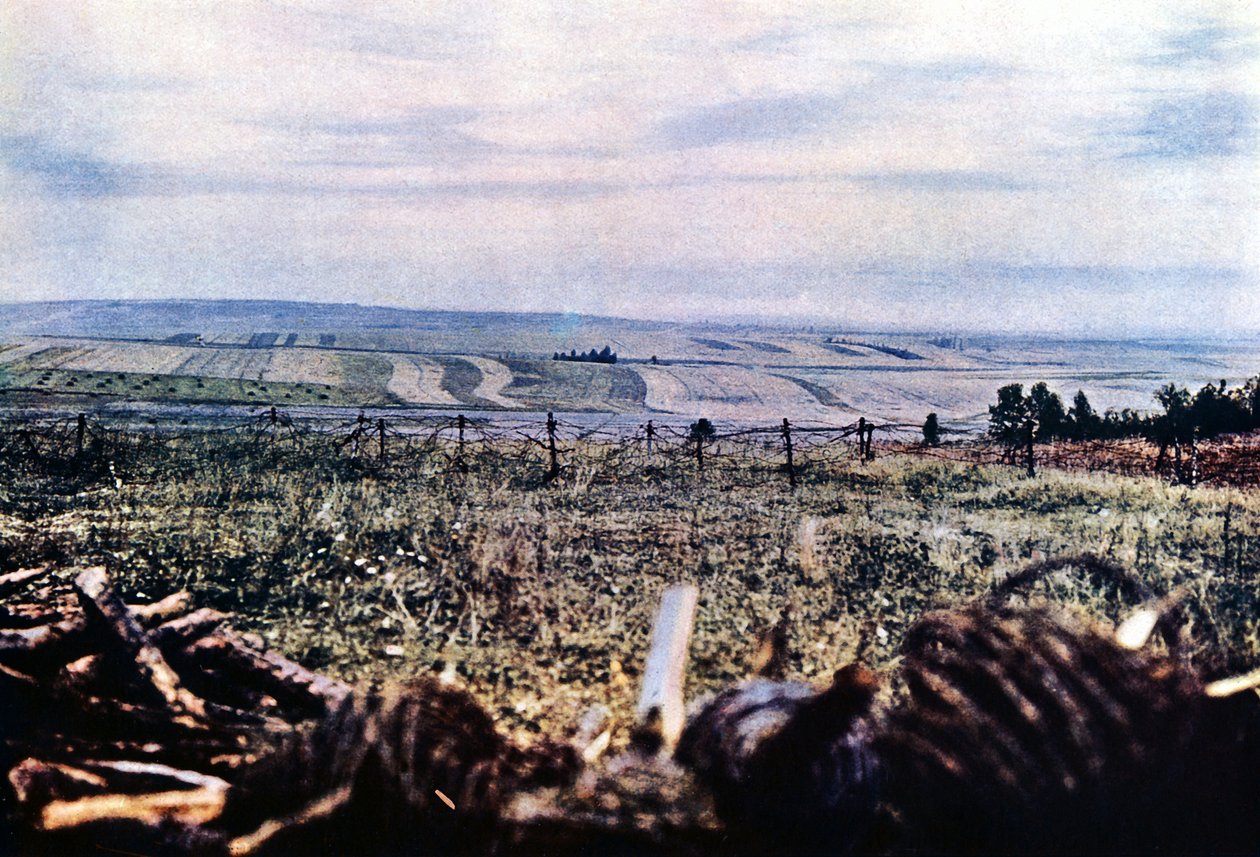Hill 304 med pigtråd nær Verdun, september 1916 (autokrom) af Jules Gervais Courtellemont