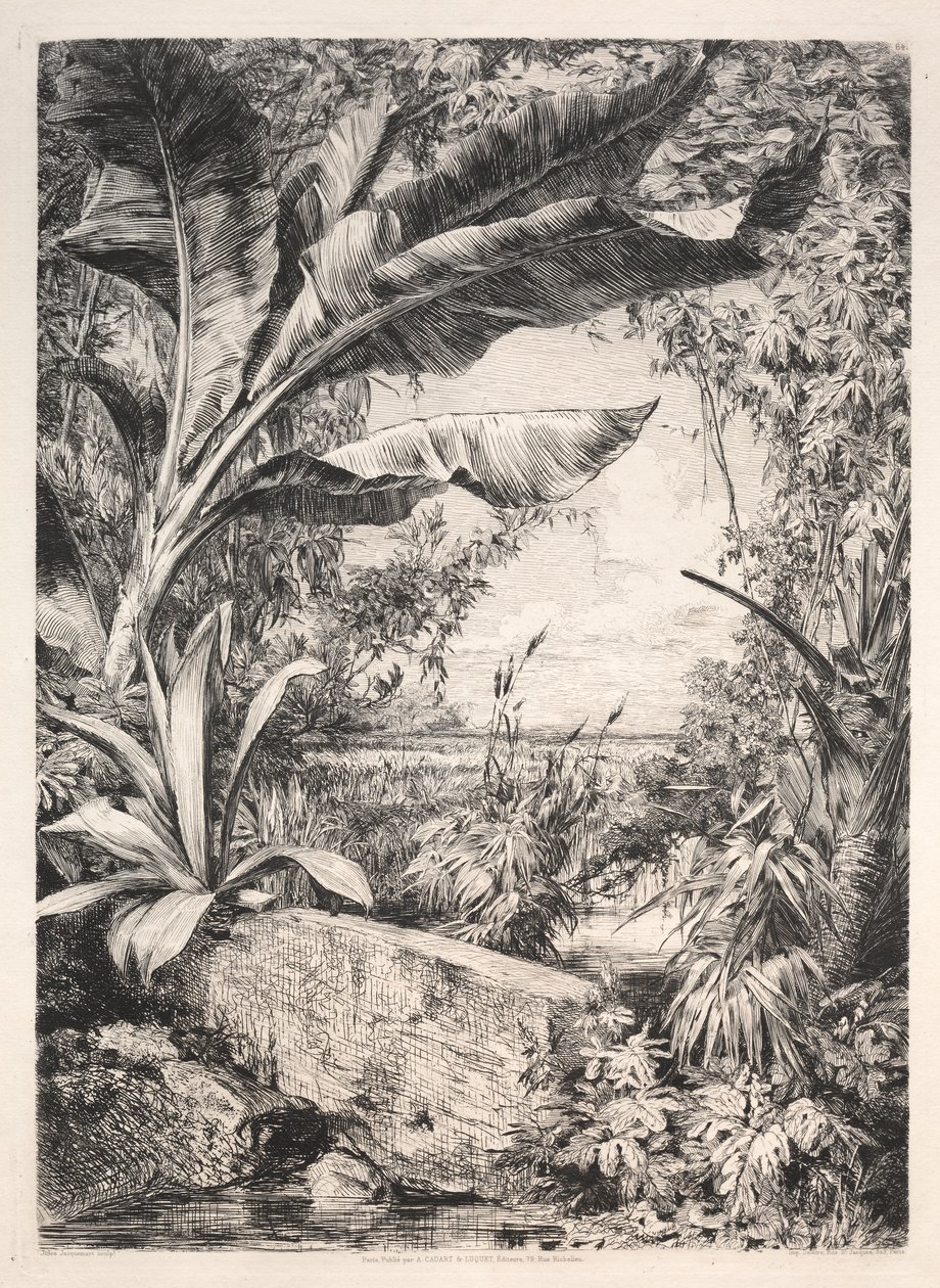 Drivhusets planter af Jules Jacquemart