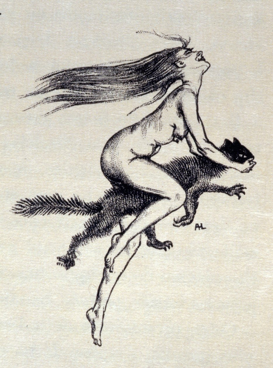 Illustration fra 