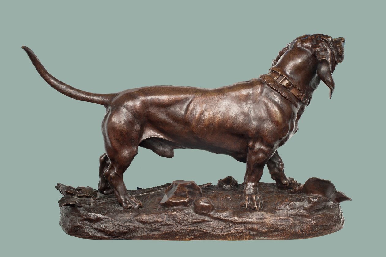 En Basset Hound (bronze med brun patina) af Jules Pierre Moigniez
