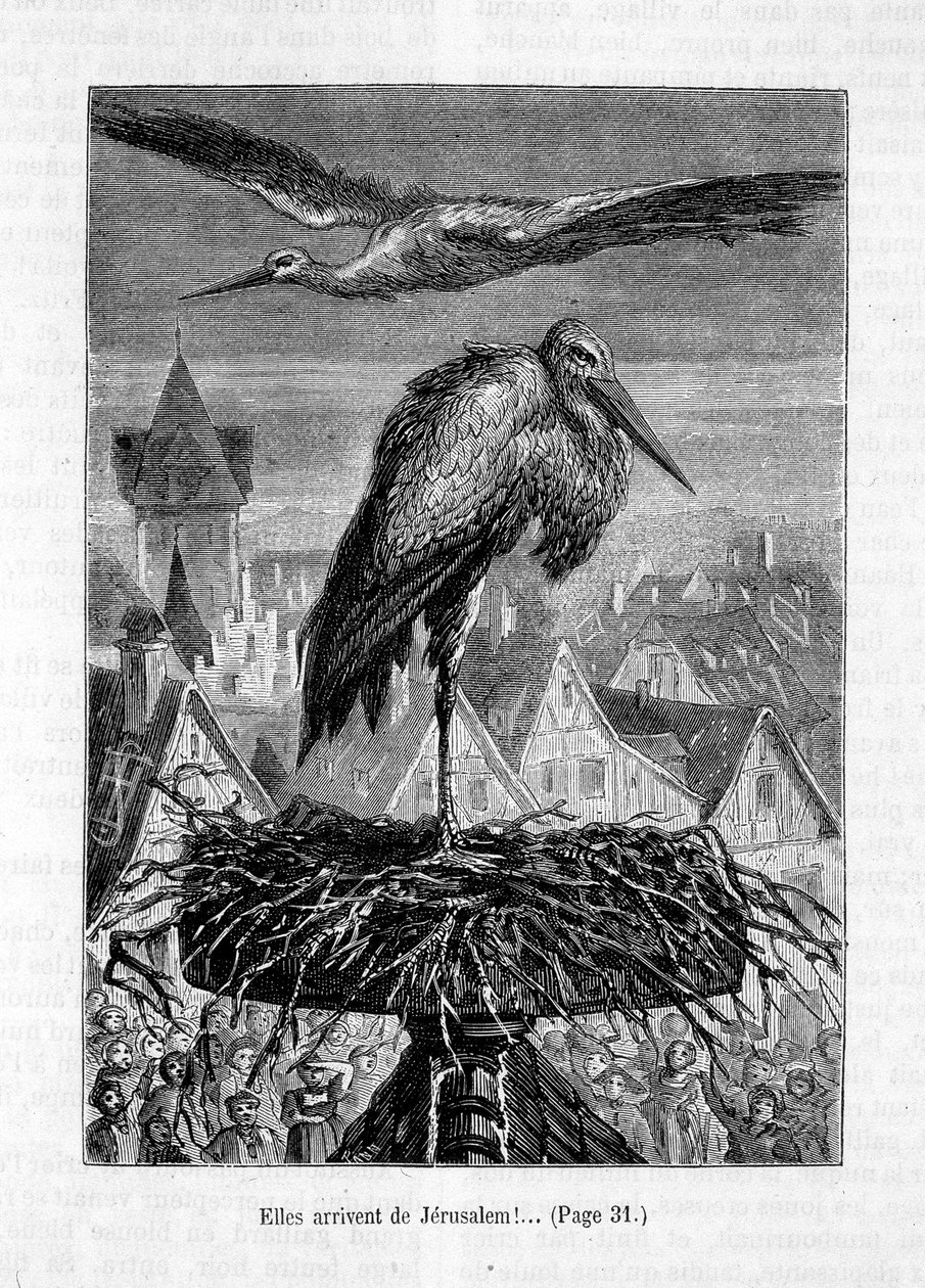 Storke på et tag- i "" Vennen Fritz"", af Erckmann-Chatrian, ill. af Théophile Schuler af Jules Theophile (after) Schuler