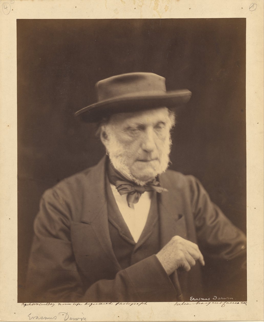 (Erasmus Darwin) af Julia Margaret Cameron