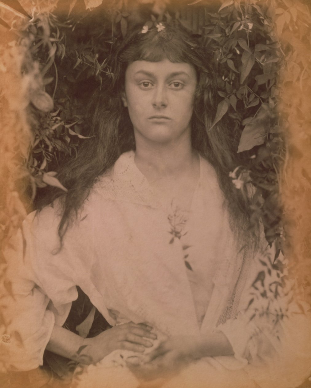 Pomona, 1872 af Julia Margaret Cameron