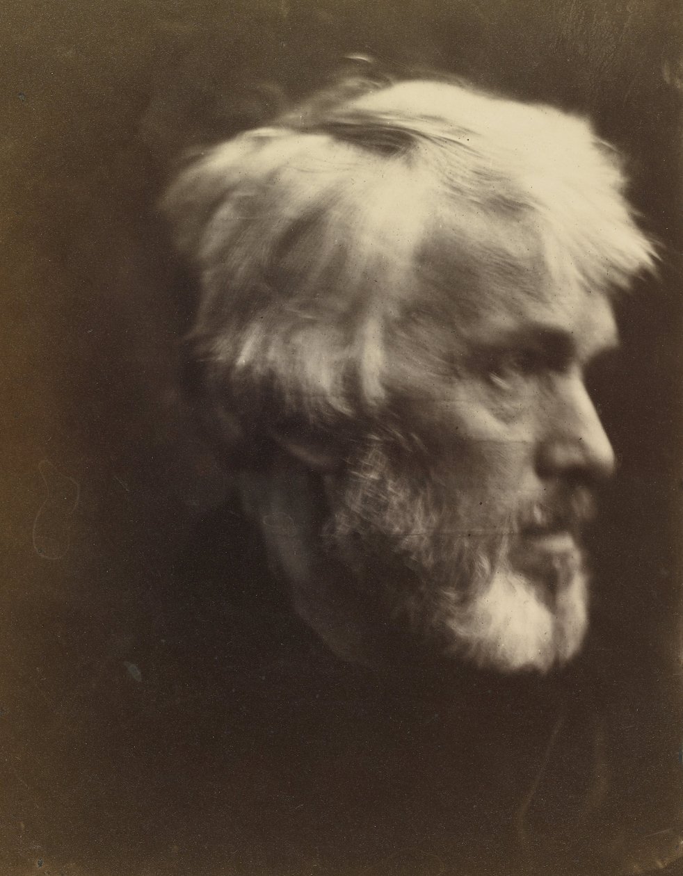 Thomas Carlyle (1795 af Julia Margaret Cameron