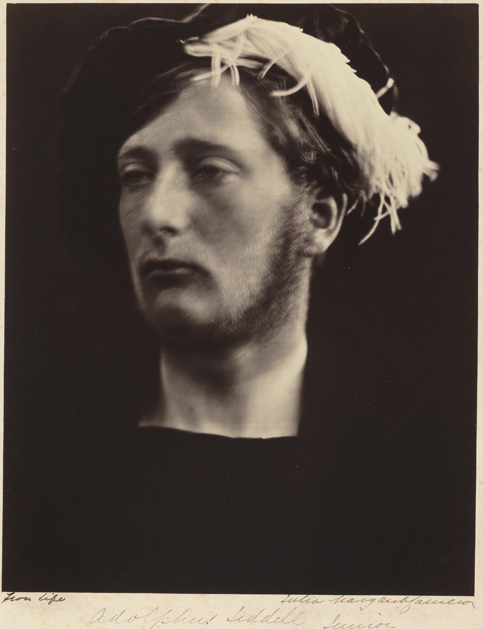 Adolphus Liddell, Junior af Julia Margaret Cameron