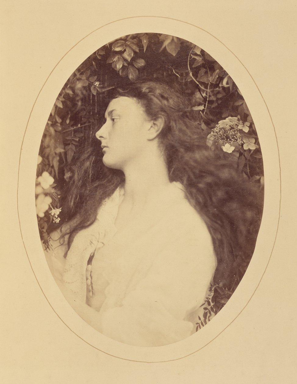 [Alethea] af Julia Margaret Cameron