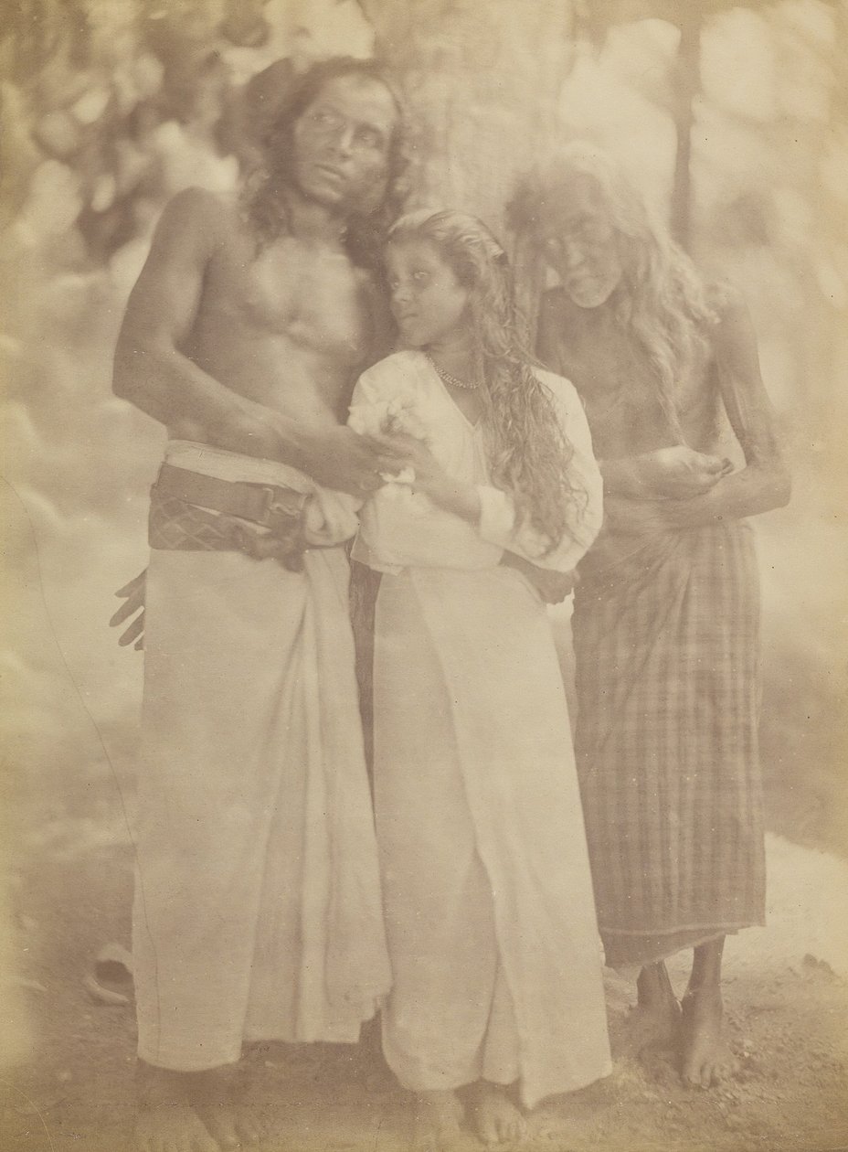 [Ceylonesisk gruppe ved et træ], 1878. af Julia Margaret Cameron