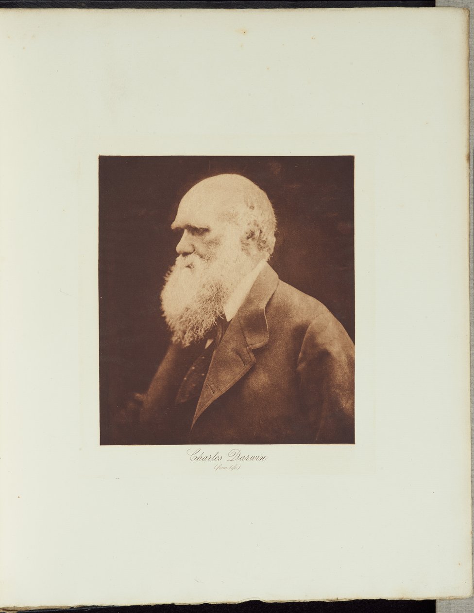 Charles Darwin af Julia Margaret Cameron