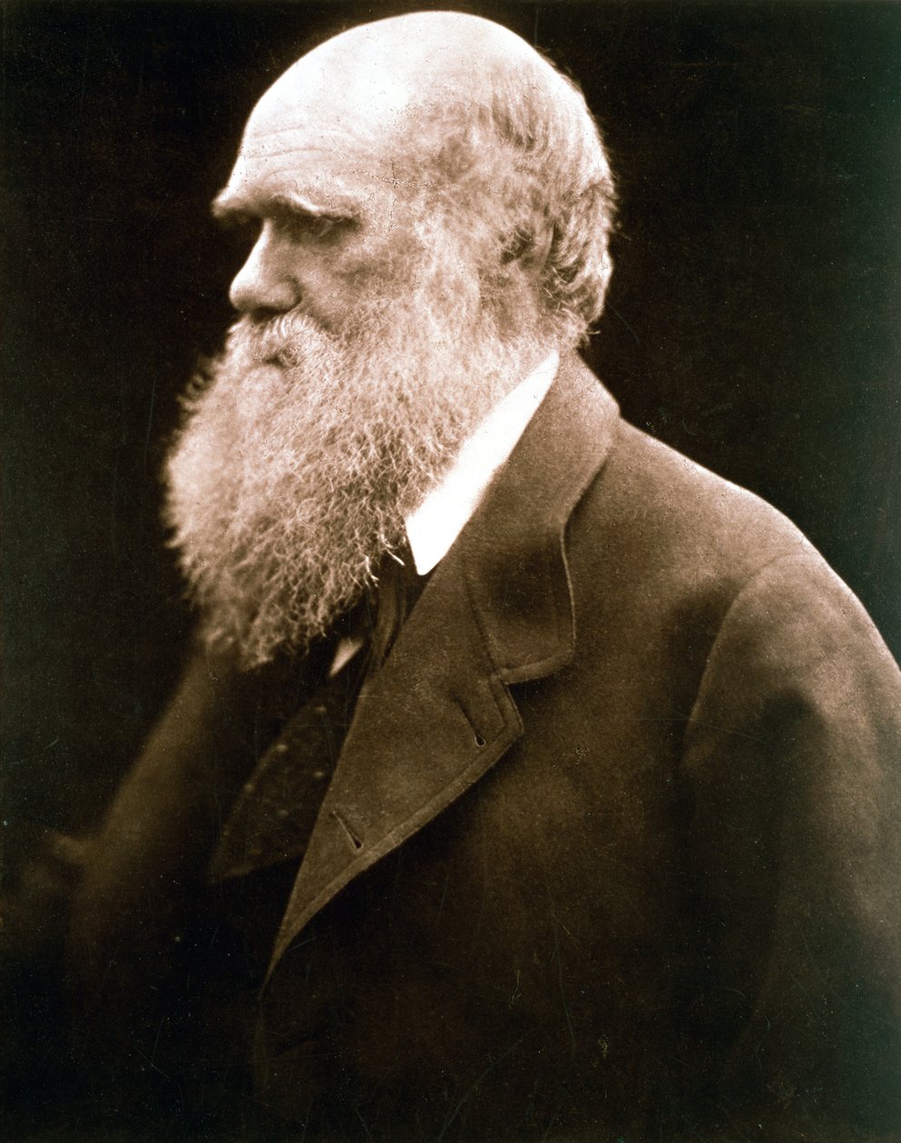 Charles Darwin, britisk naturforsker, c1870