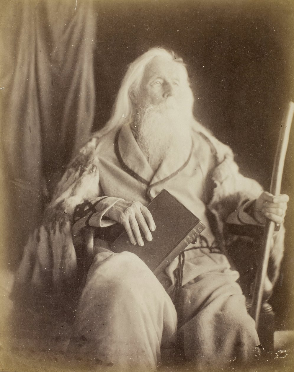 Charles Hay Cameron, 186465. af Julia Margaret Cameron