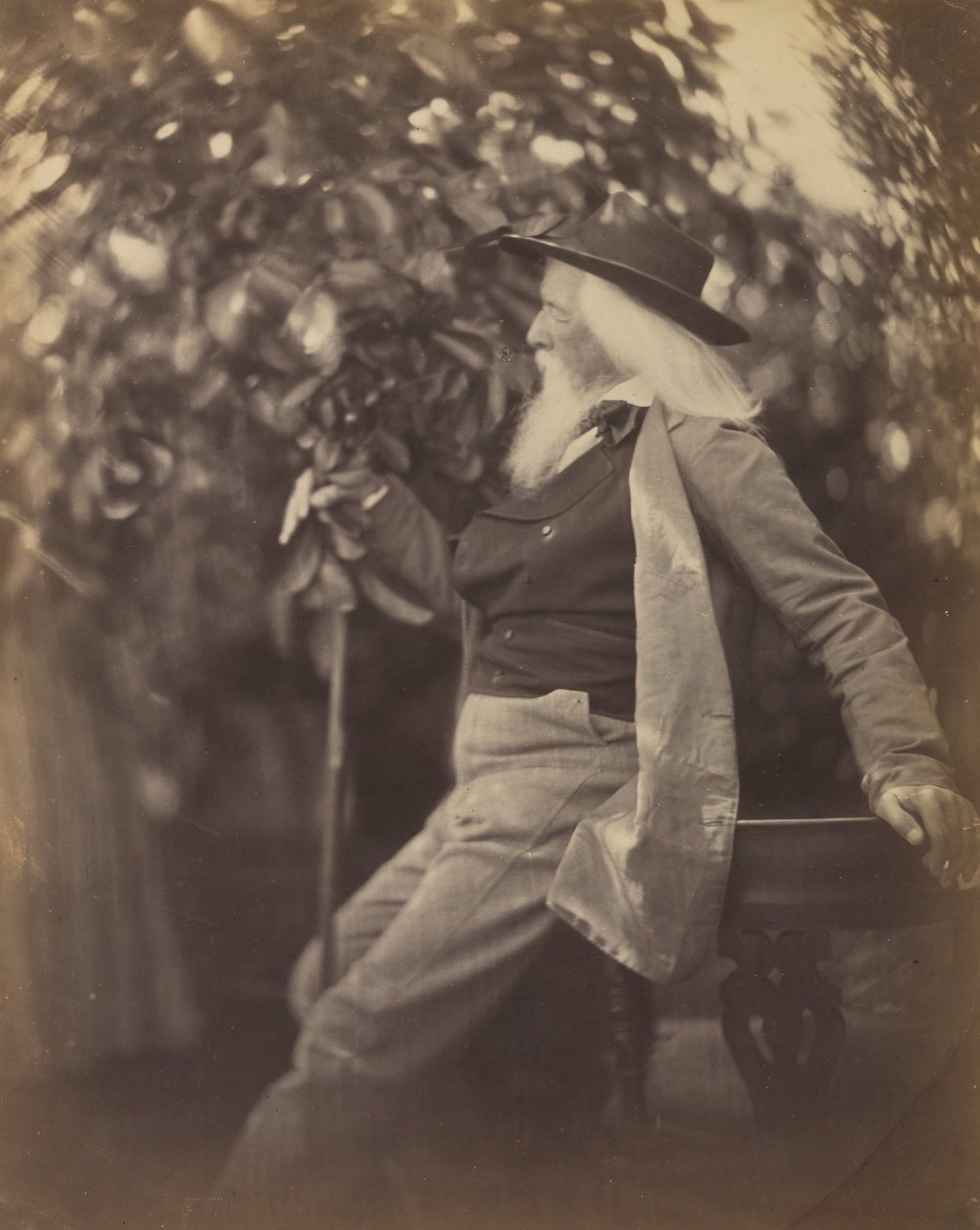 Charles Hay Cameron, Esq., i sin have ved Freshwater, 1865-67. af Julia Margaret Cameron