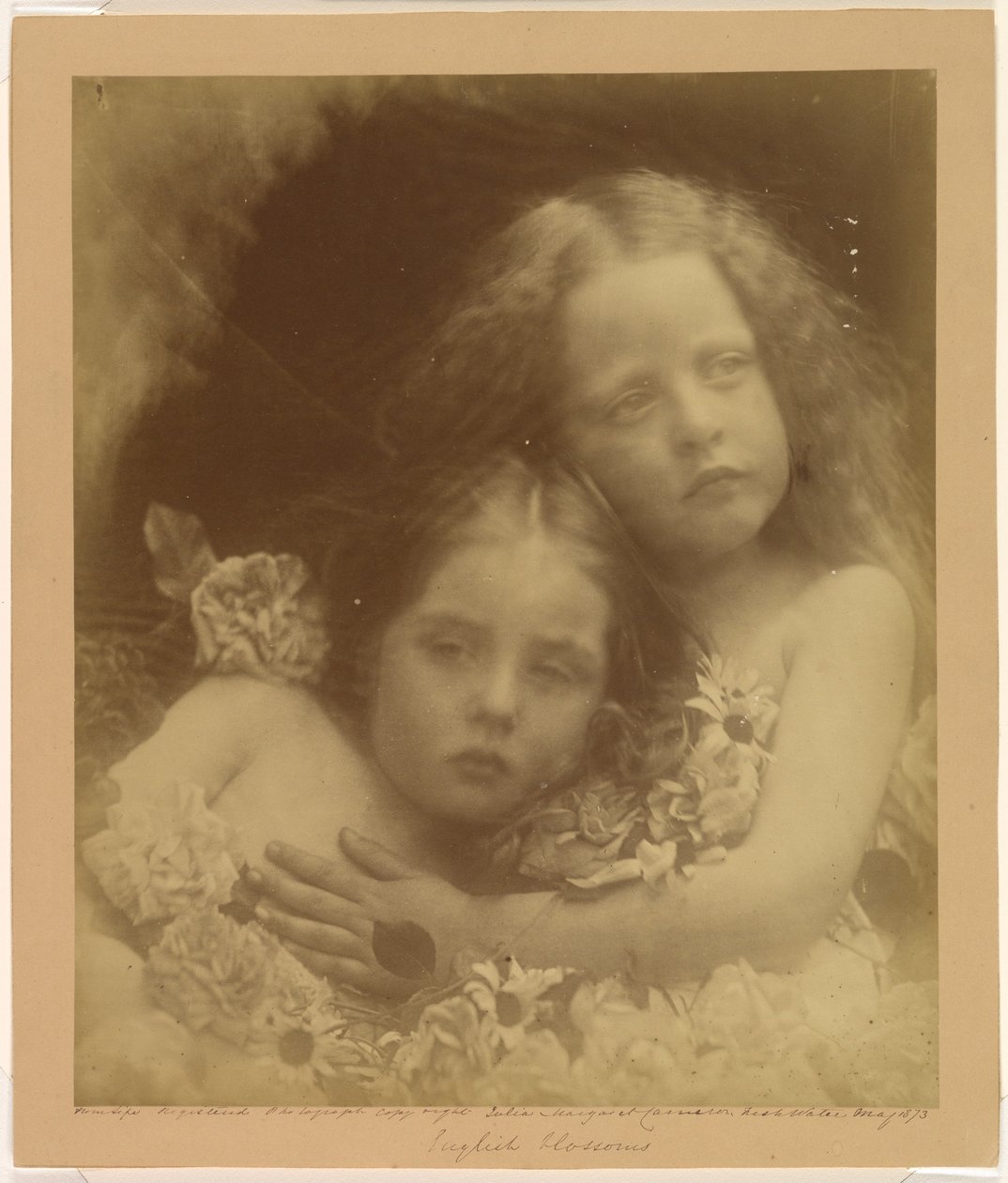 Engelske blomster af Julia Margaret Cameron