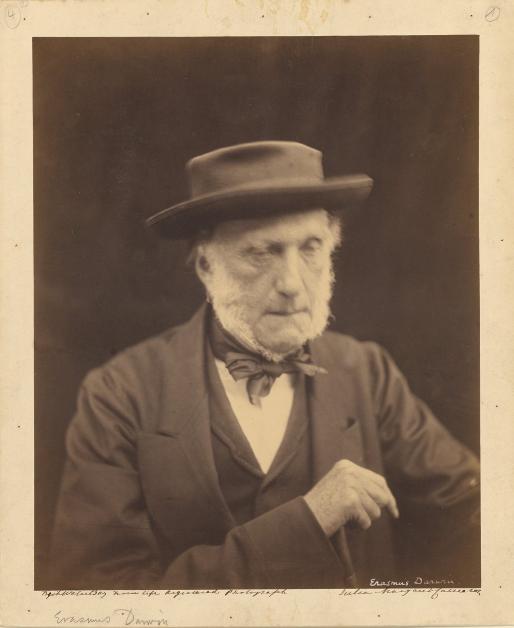 [Erasmus Darwin] af Julia Margaret Cameron