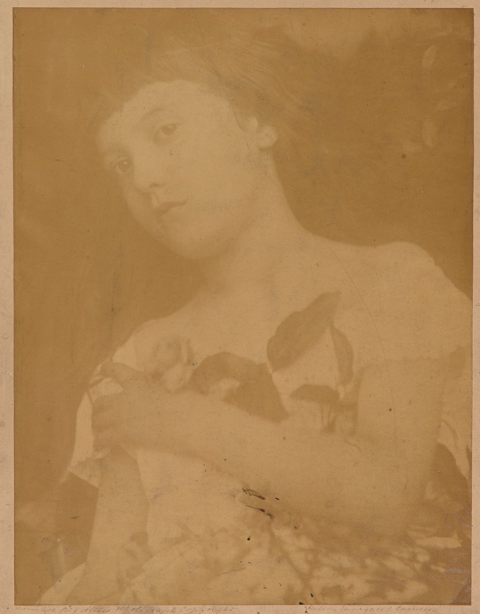 Firenze af Julia Margaret Cameron