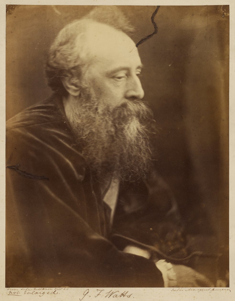 G.F. Watts af Julia Margaret Cameron